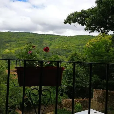 El Jardin Del Conde